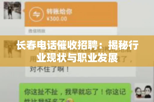 长春电话催收招聘：揭秘行业现状与职业发展
